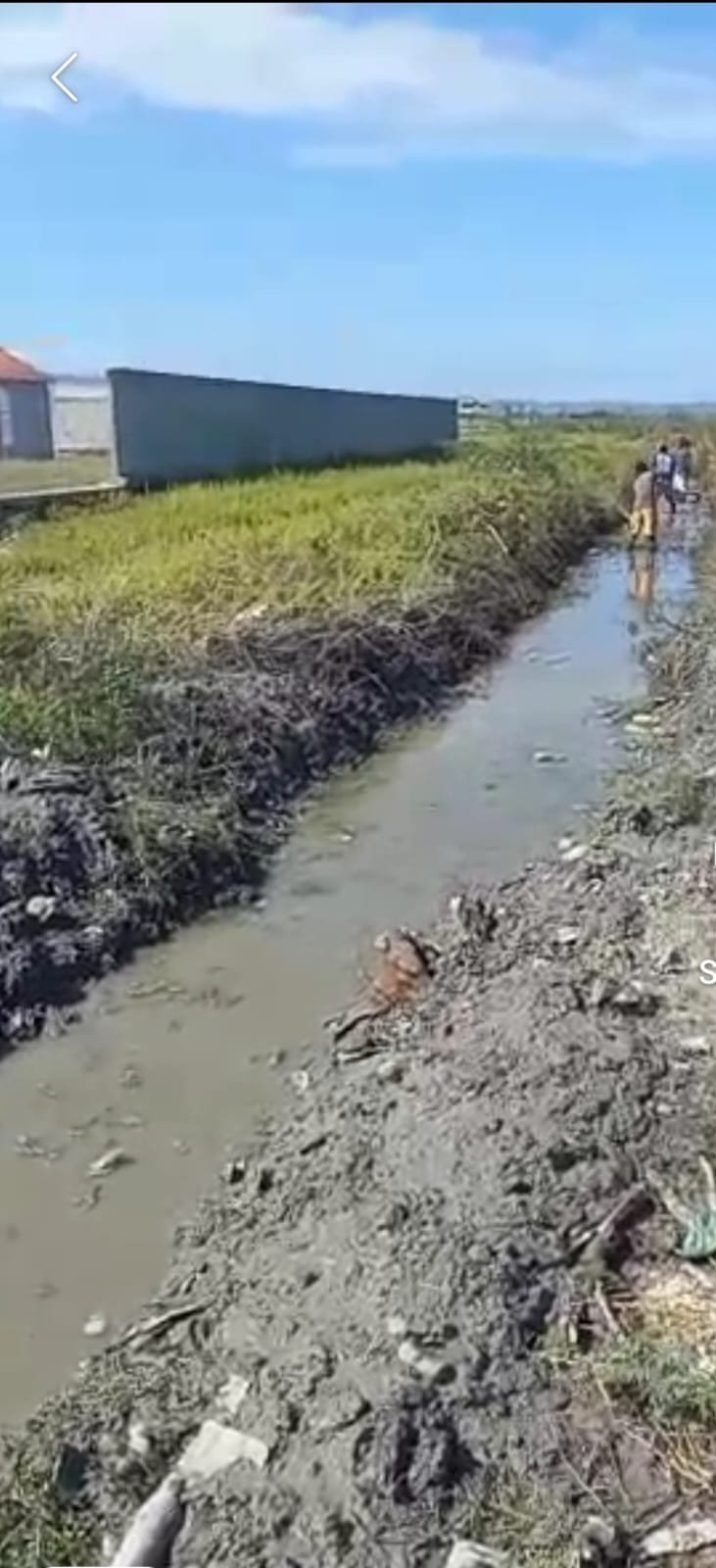 WhatsApp Image 2025-11-10 at 16.57.59_cd6ab702